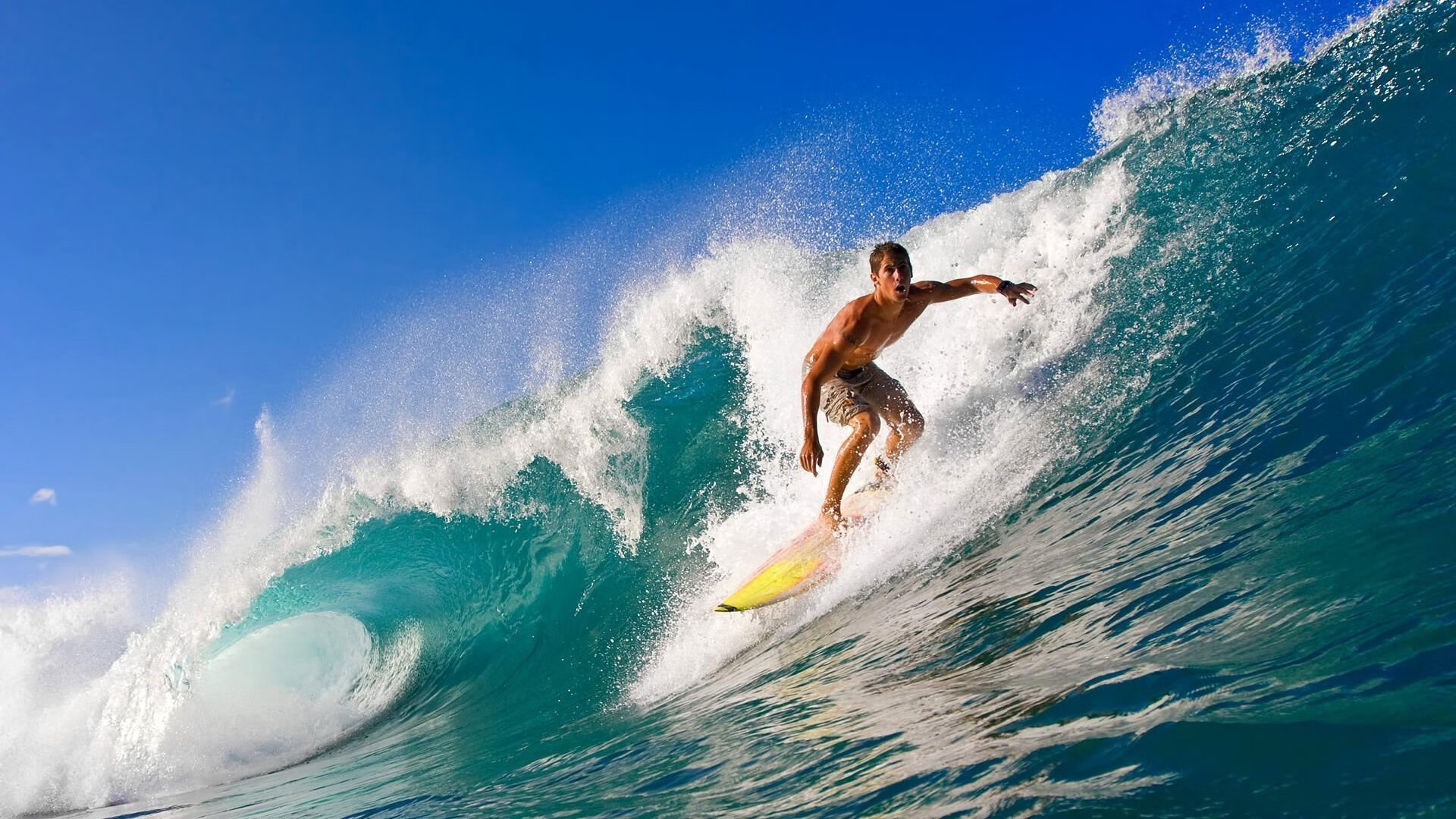 LPL观赛热度持续上涨直播平台竞争激烈，lpl观赛热度持续上涨直播平台竞争激烈怎么办